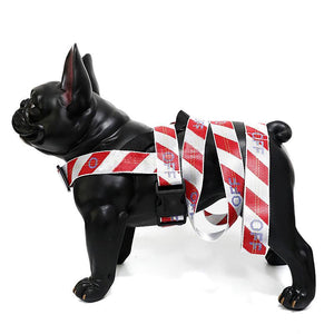 Woof-White Hazard Harness & Leash Hype Pups designer dog clothes.