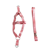 Harness Leash Set