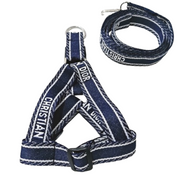 Blue Harness Set