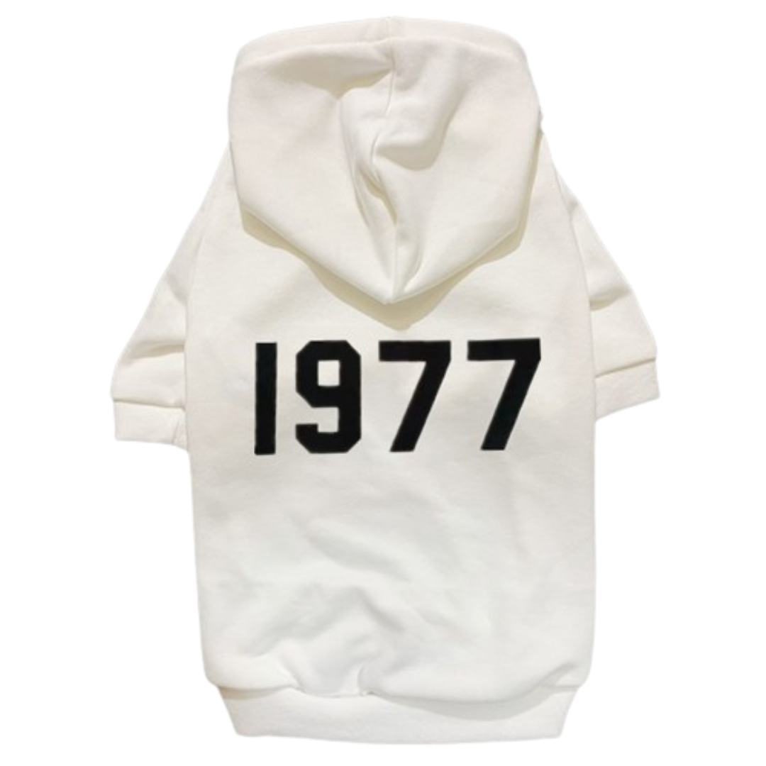 Vintage Vibes Retro Style Hoodie