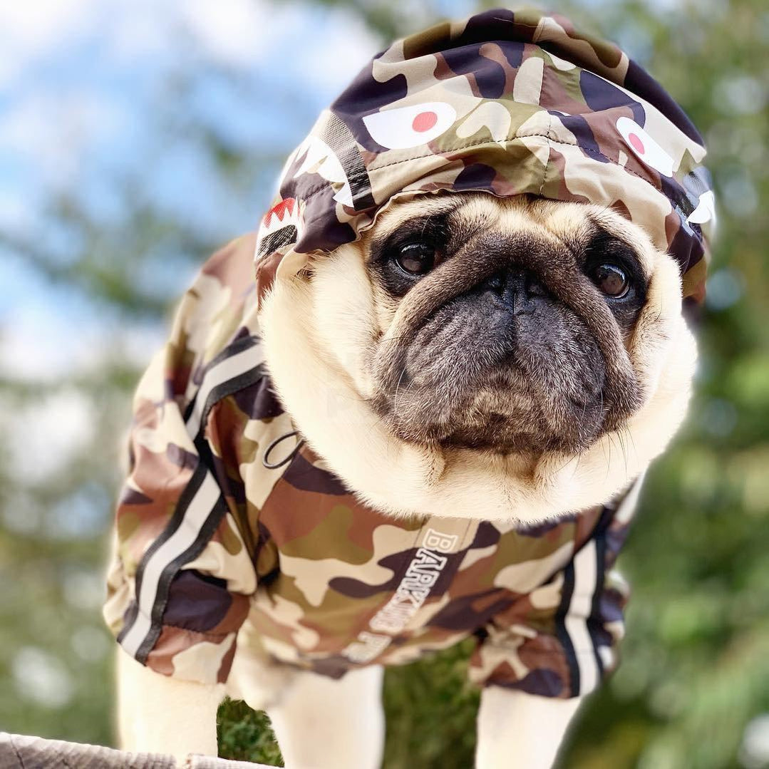 A Barking Pup Camo Windbreaker Hype Pups designer dog clothes.