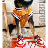 airbud1sjordansfordogs