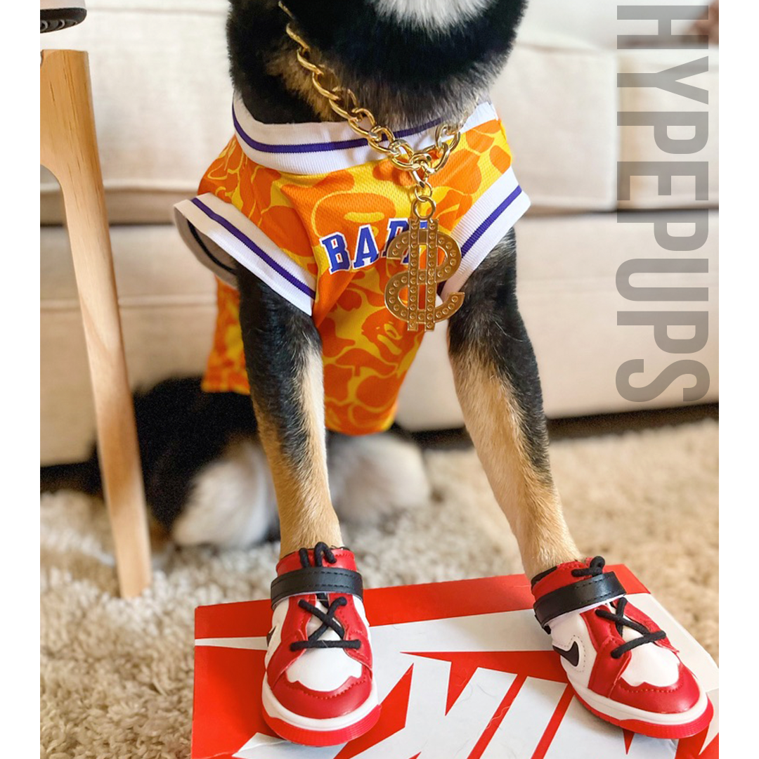 airbud1sjordansfordogs