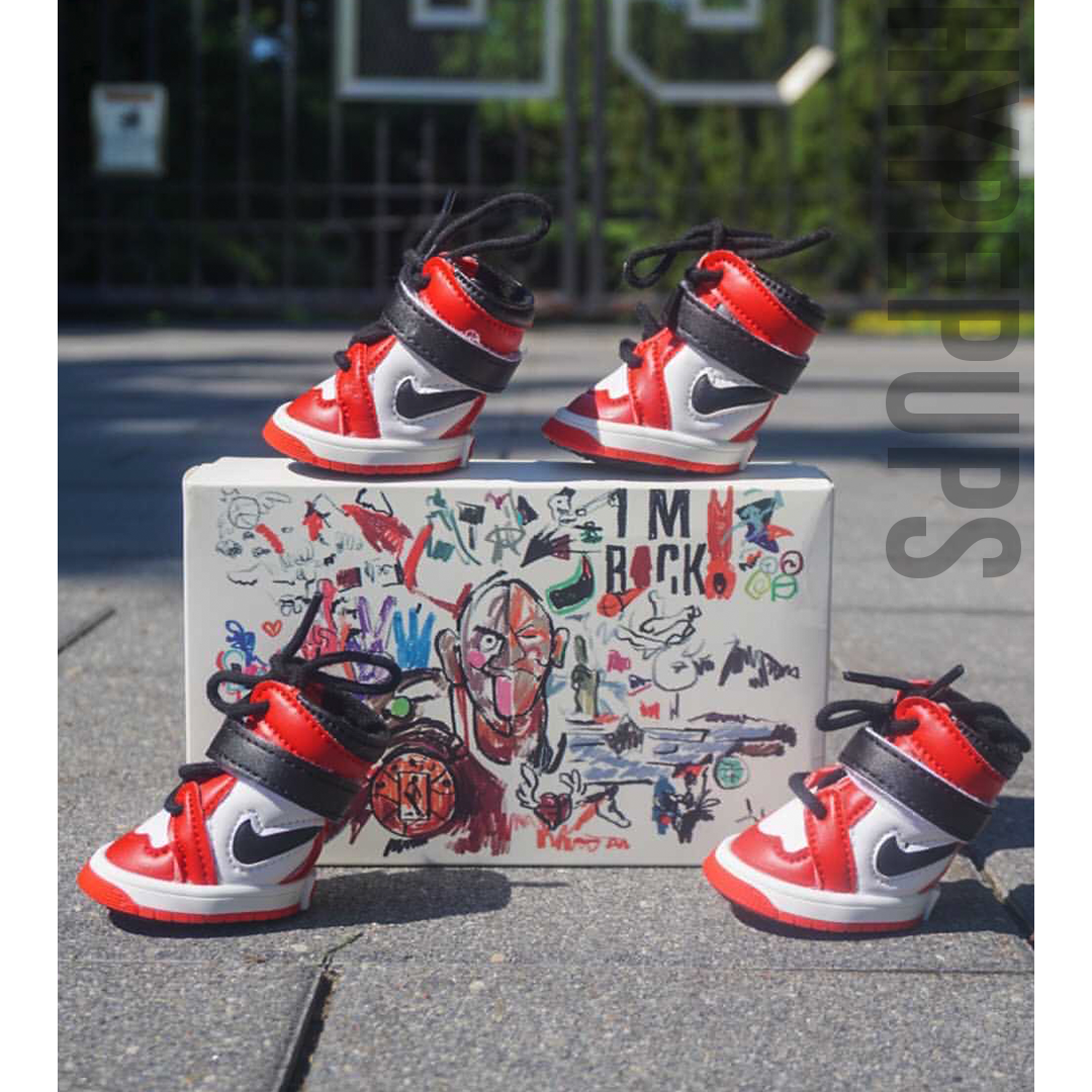airjordan1sfordogs-9