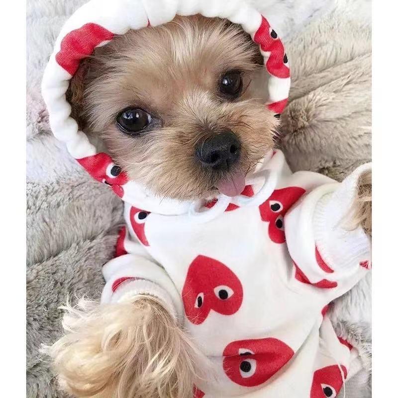 CDG Heart Print Hoodie Hype Pups designer dog clothes.