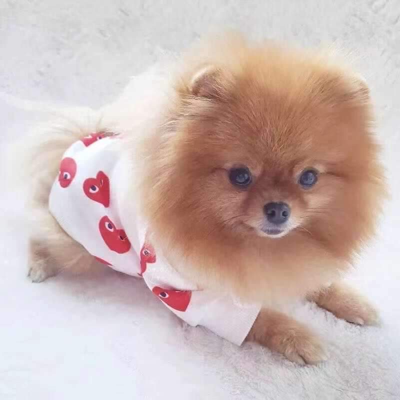 CDG Heart Print Hoodie Hype Pups designer dog clothes.