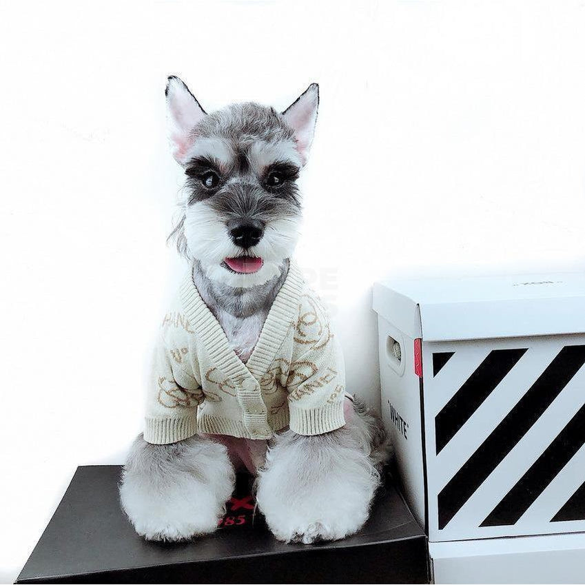 Chewnel No. 5 Sweater Hype Pups designer dog clothes.