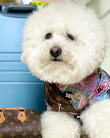 Chewy V All Over Tee Hype Pups designer dog clothes.