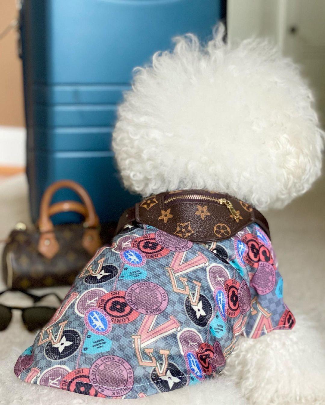 Chewy V All Over Tee Hype Pups designer dog clothes.