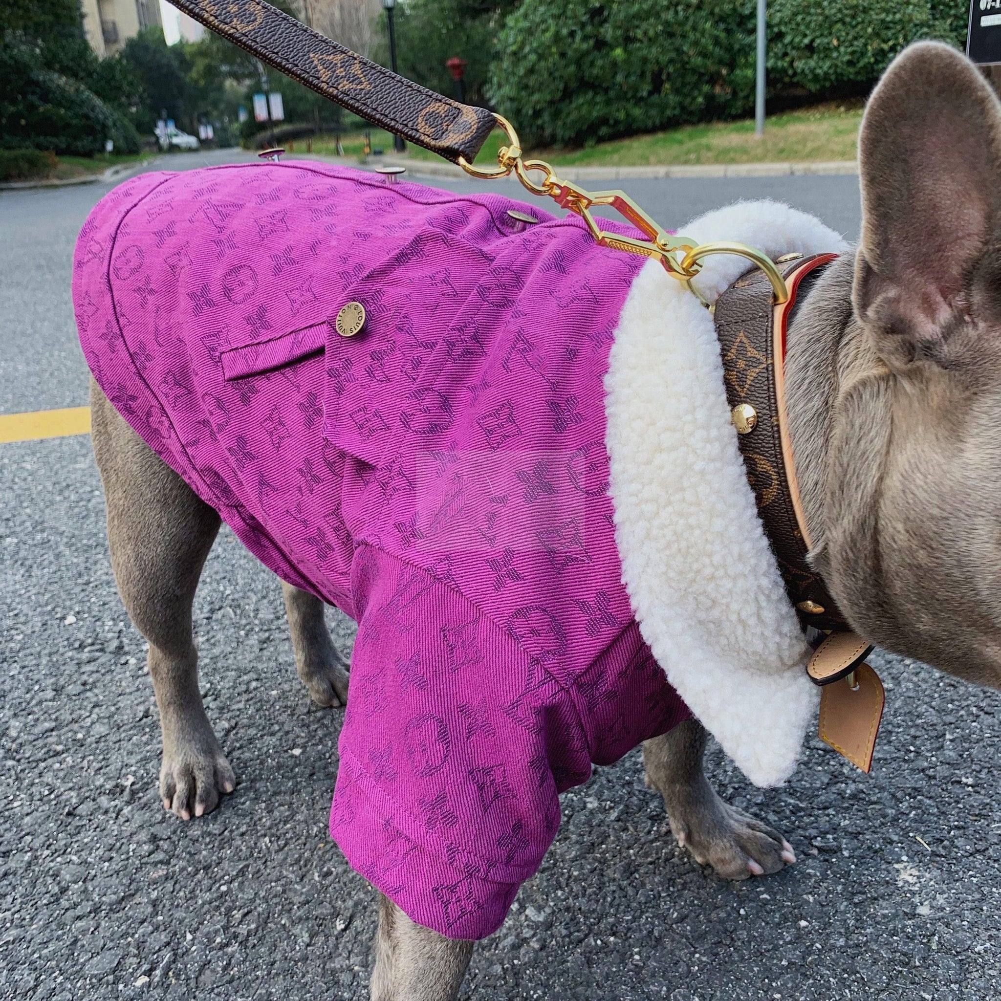 Chewy V Denim & Wool Coat Hype Pups designer dog clothes.