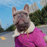 Chewy V Denim & Wool Coat Hype Pups designer dog clothes.