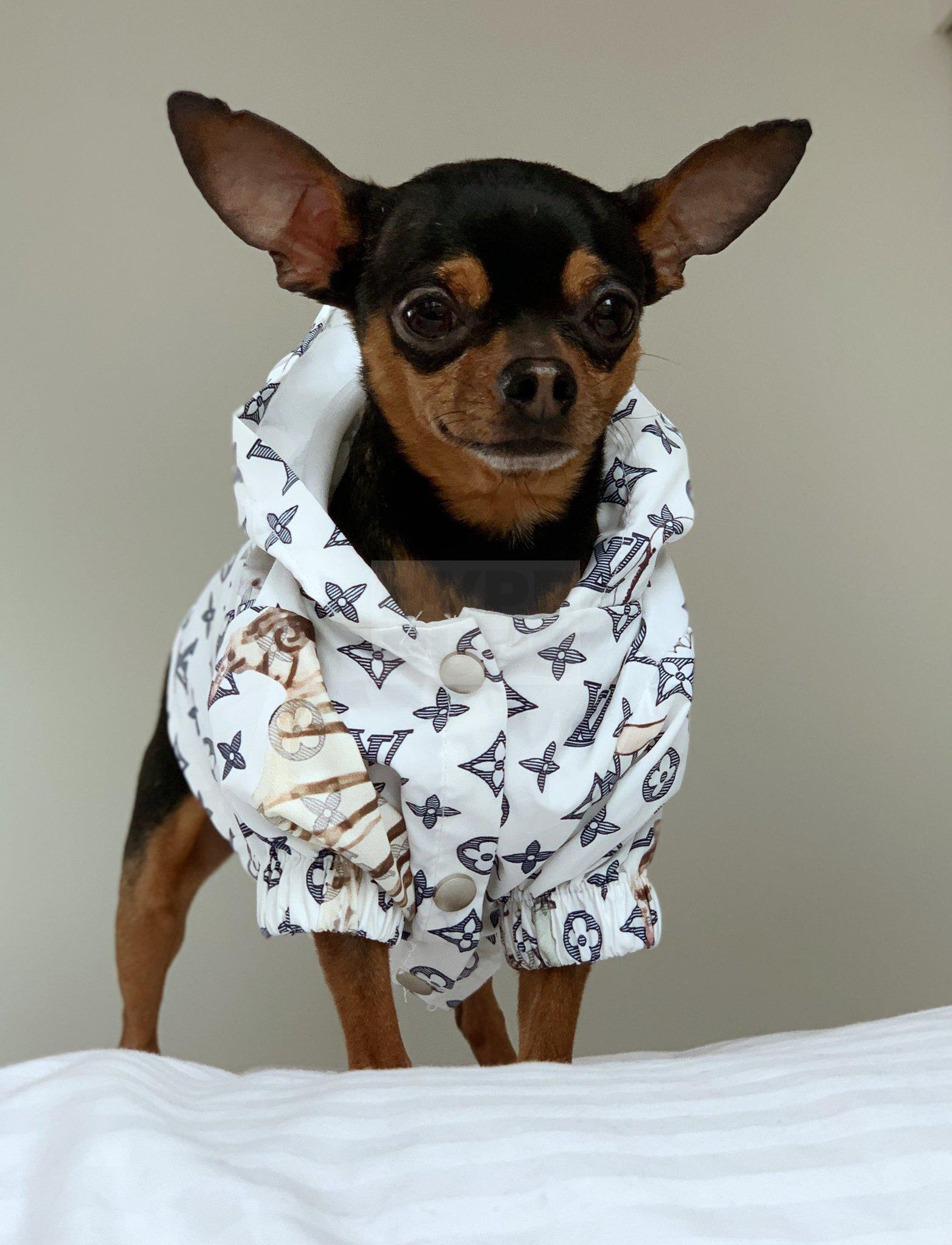 Chewy V Jungle Rain Jacket Hype Pups designer dog clothes.