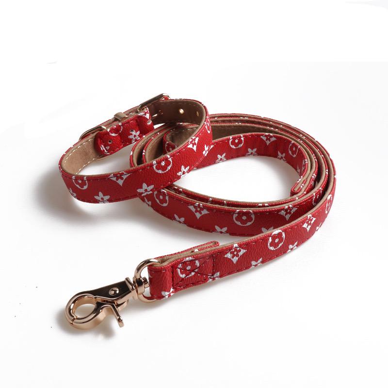 Chewy V Leather Collar & Leash Hype Pups designer dog clothes.