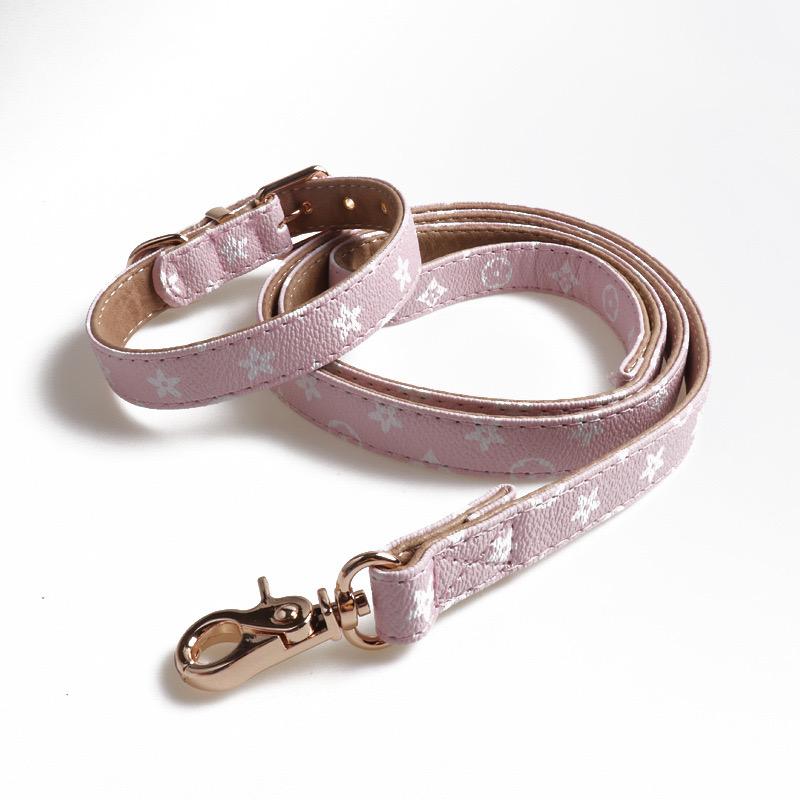 Chewy V Leather Collar & Leash Hype Pups designer dog clothes.