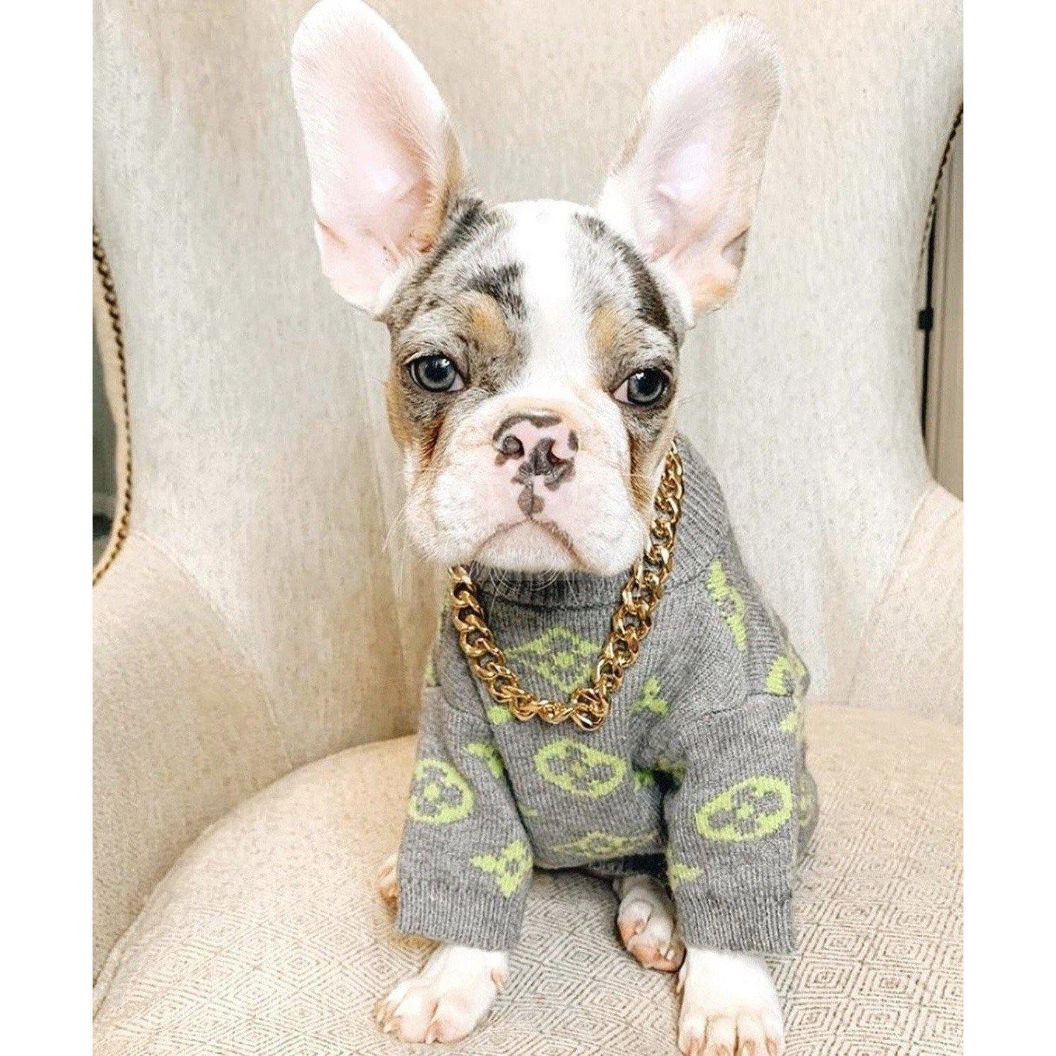 Chewy V Monogram Sweater Hype Pups designer dog clothes.