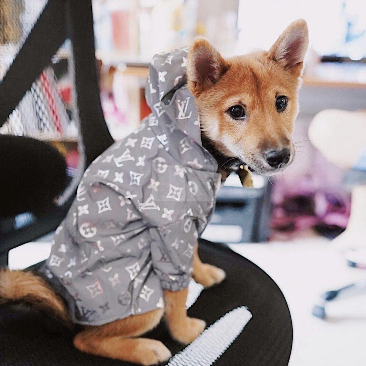 Chewy V Reflective Windbreaker Hype Pups designer dog clothes.