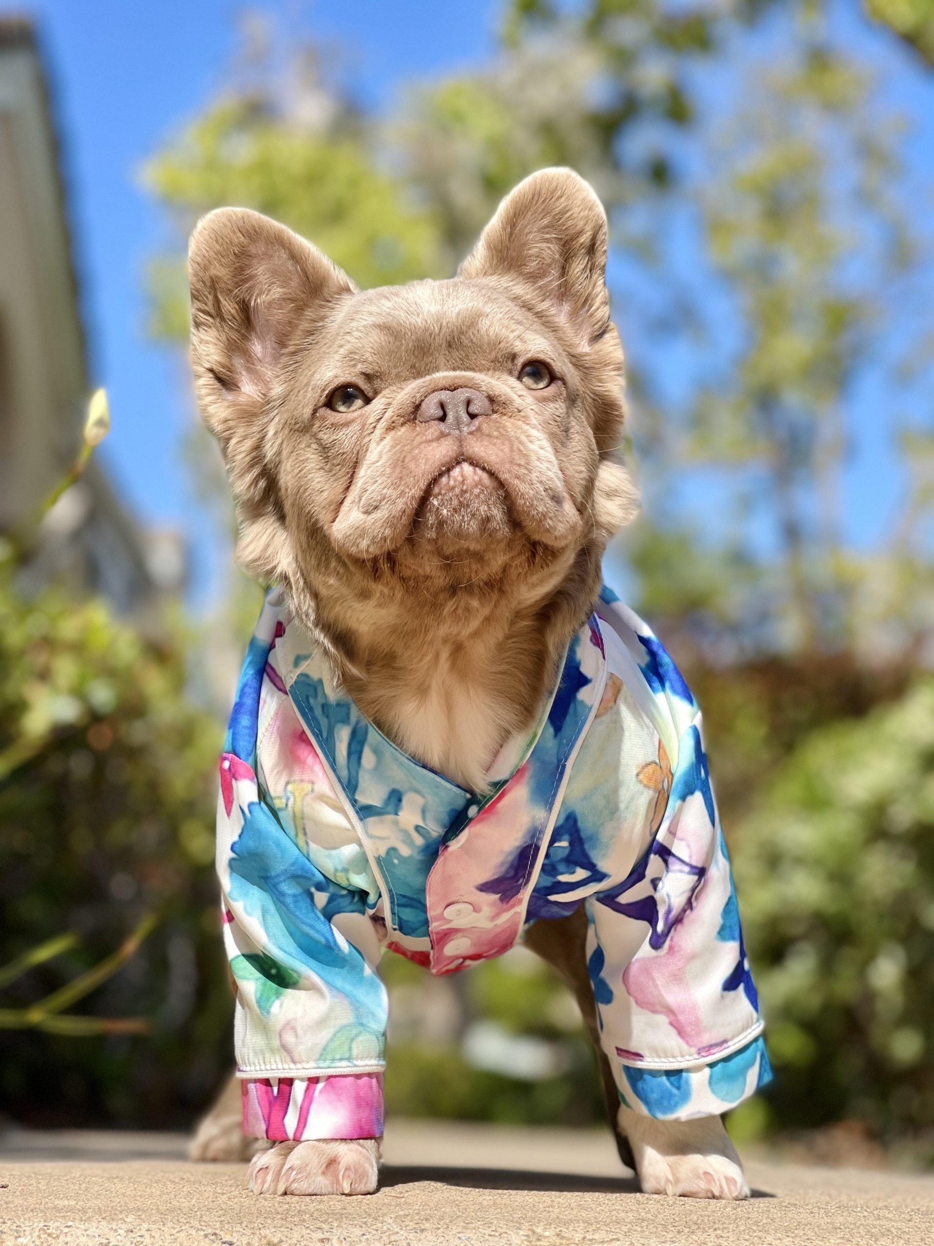 Chewy V Watercolor Shirt Hype Pups designer dog clothes.