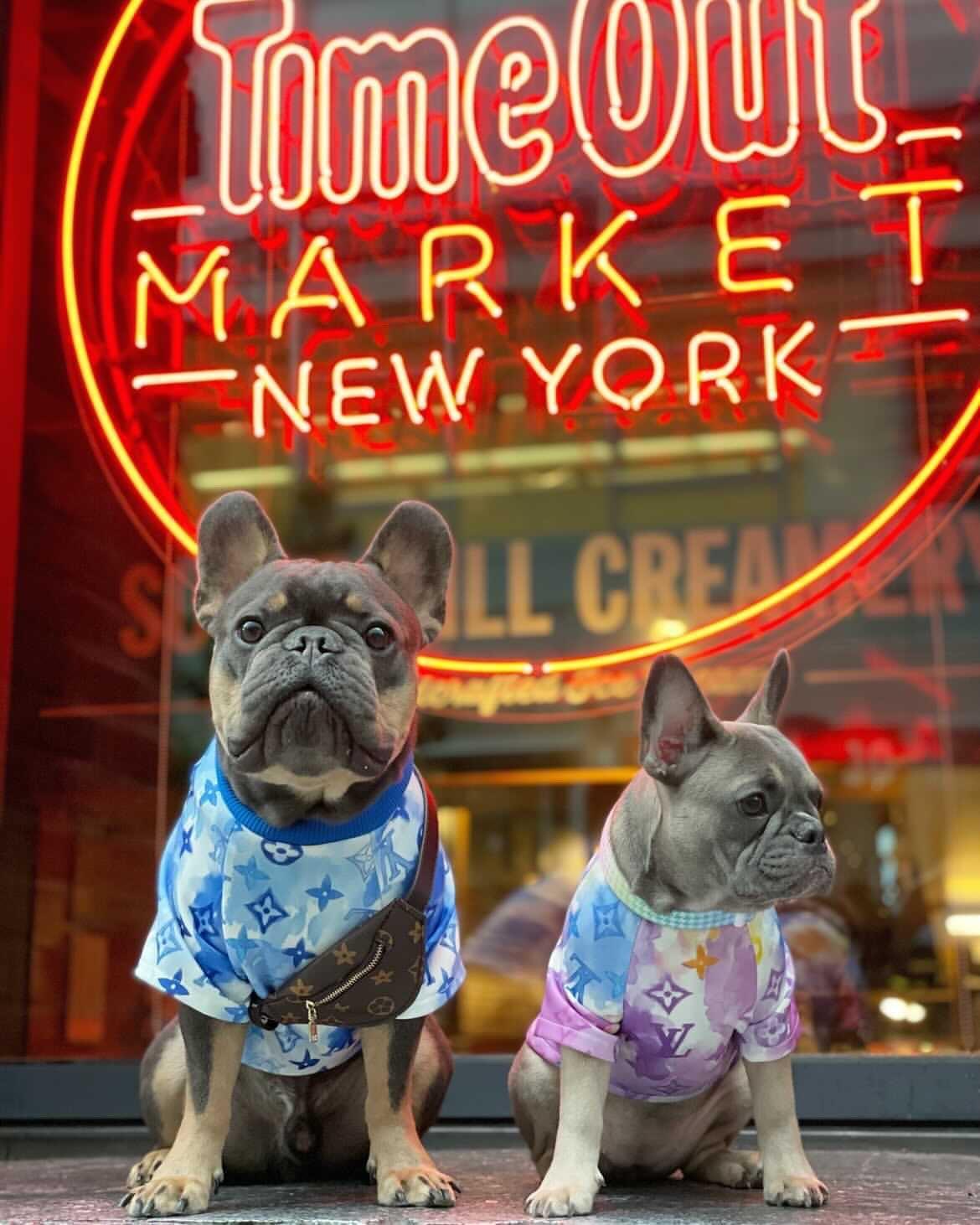 Chewy V Watercolor Tee Hype Pups designer dog clothes.