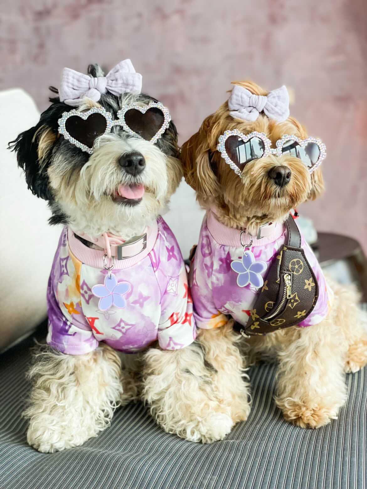 Chewy V Watercolor Tee Hype Pups designer dog clothes.