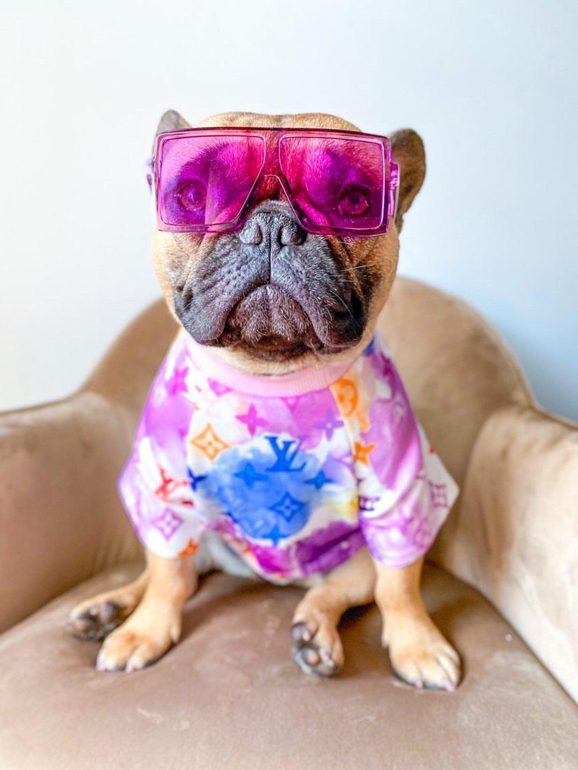 Chewy V Watercolor Tee Hype Pups designer dog clothes.