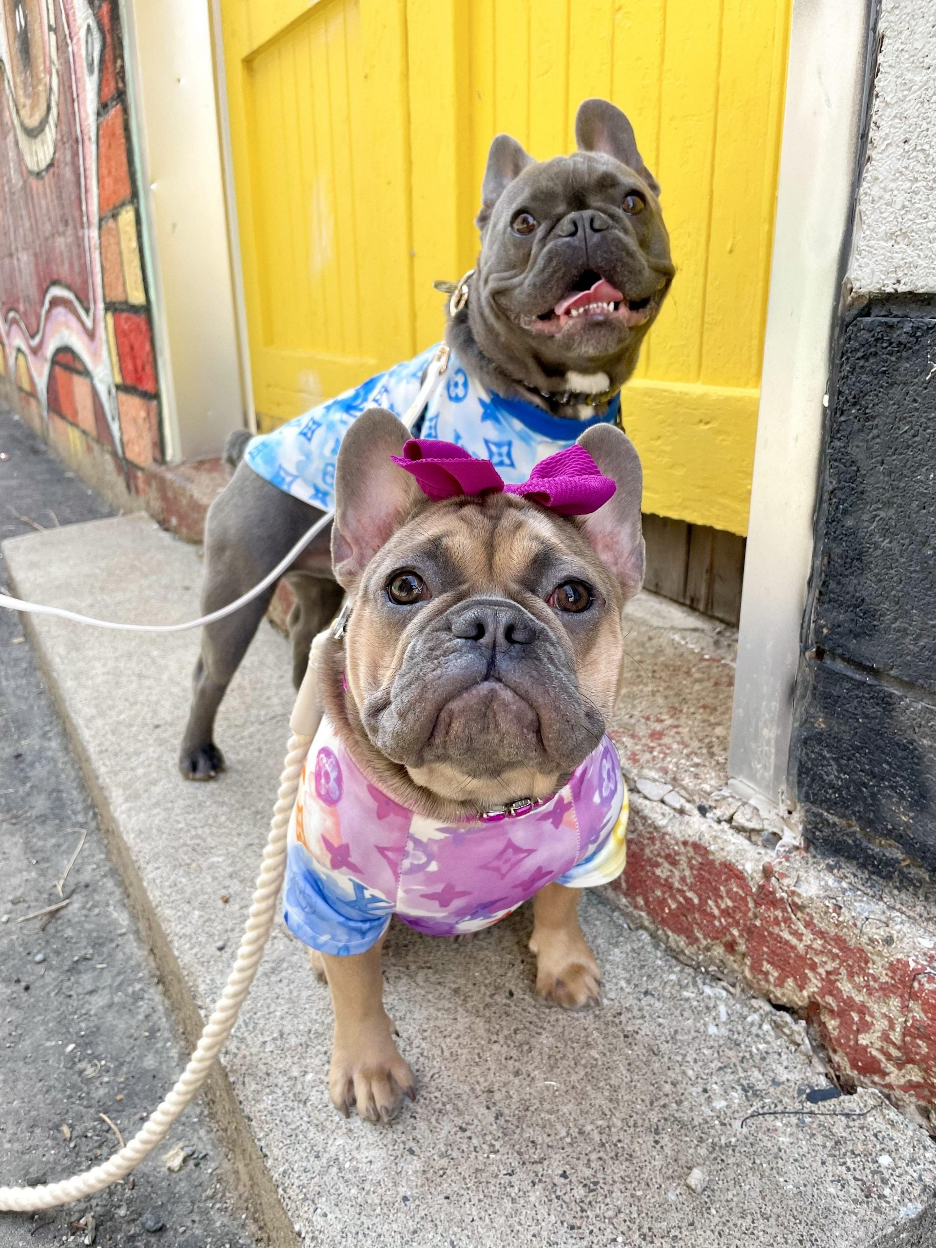 Chewy V Watercolor Tee Hype Pups designer dog clothes.