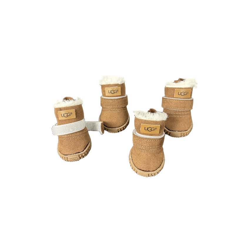 Hype Pups Cozy Winter Ensemble