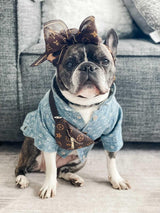 Designer Bum Bags For Dogs Hype Pups designer dog clothes.