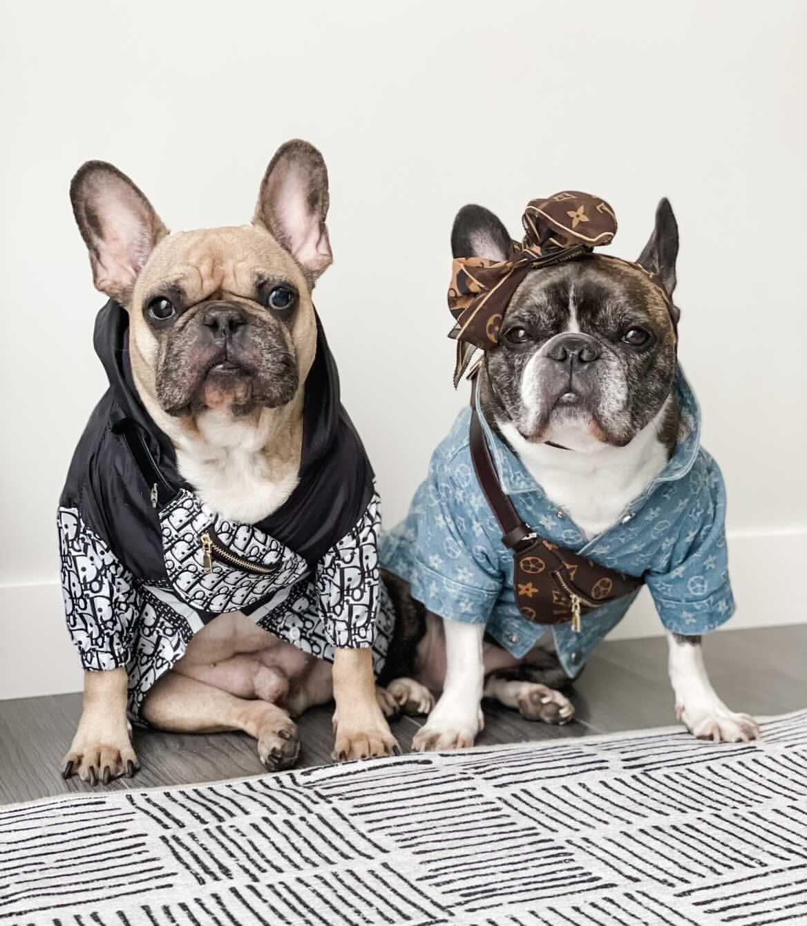 Designer Bum Bags For Dogs Hype Pups designer dog clothes.