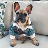 Designer Bum Bags For Dogs Hype Pups designer dog clothes.