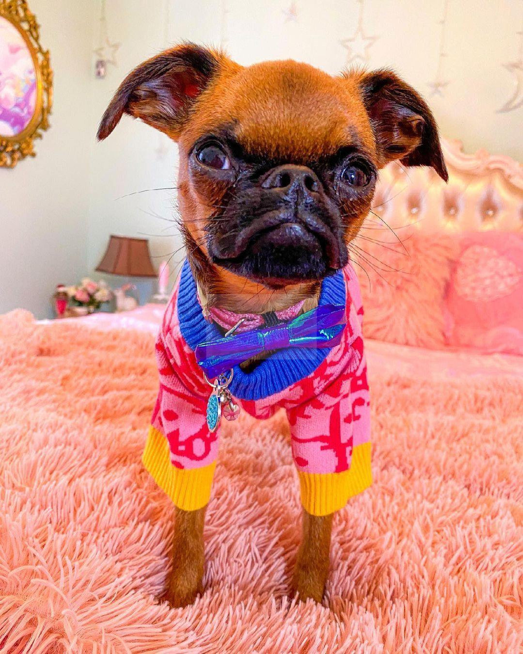 Dogior Blue & Pink Sweater Hype Pups designer dog clothes.