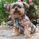 Furberry Rainbow Stripe Shirt Hype Pups designer dog clothes.
