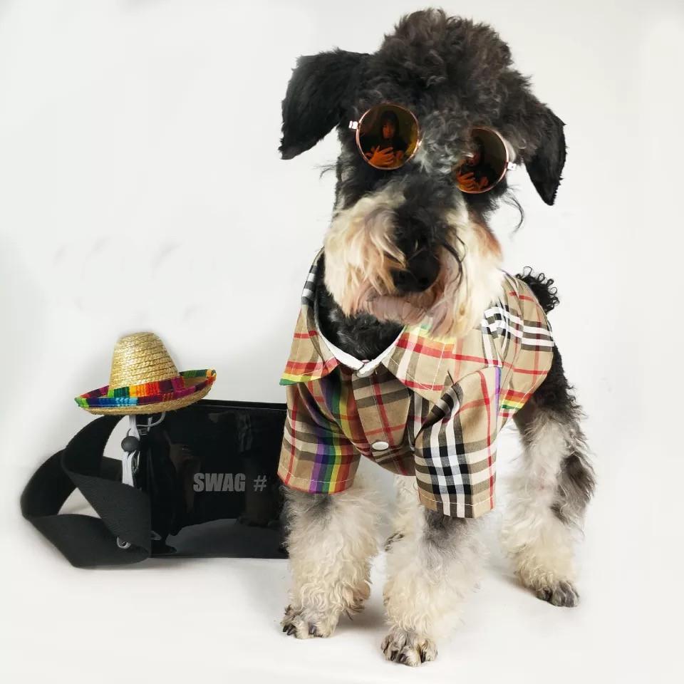 Furberry Rainbow Stripe Shirt Hype Pups designer dog clothes.