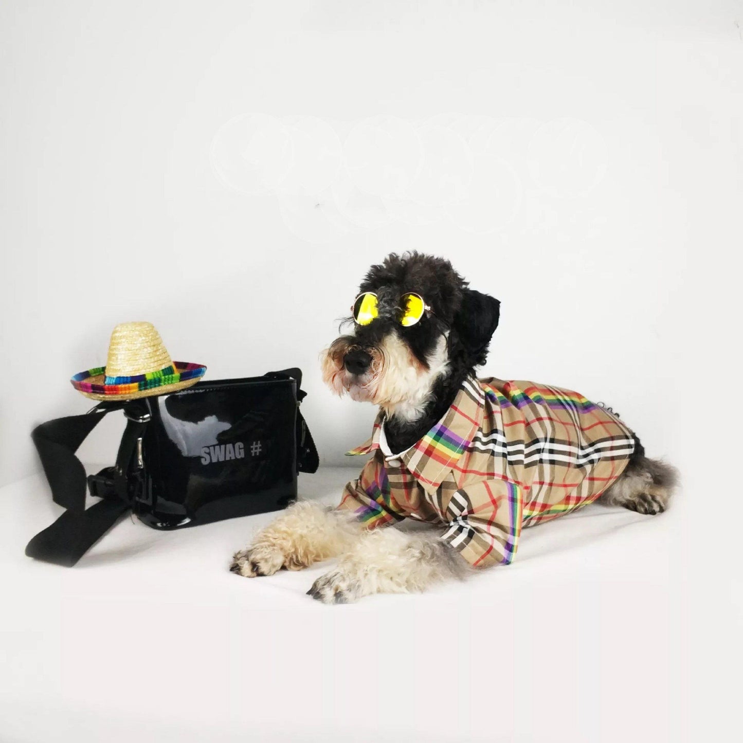 Furberry Rainbow Stripe Shirt Hype Pups designer dog clothes.