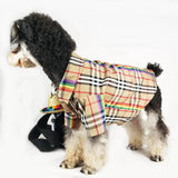 Furberry Rainbow Stripe Shirt Hype Pups designer dog clothes.