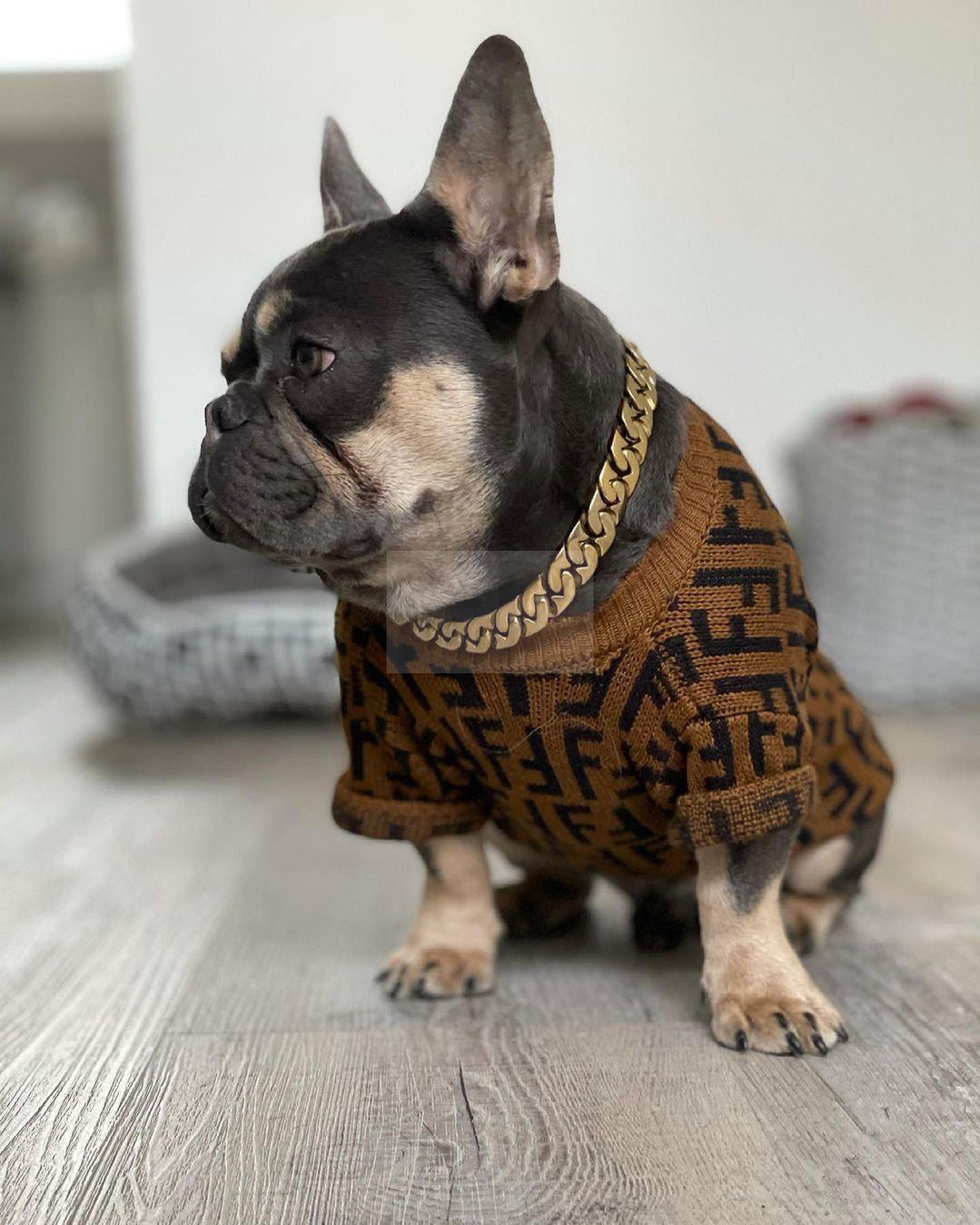 Furdi FF Classic Sweater Hype Pups designer dog clothes.