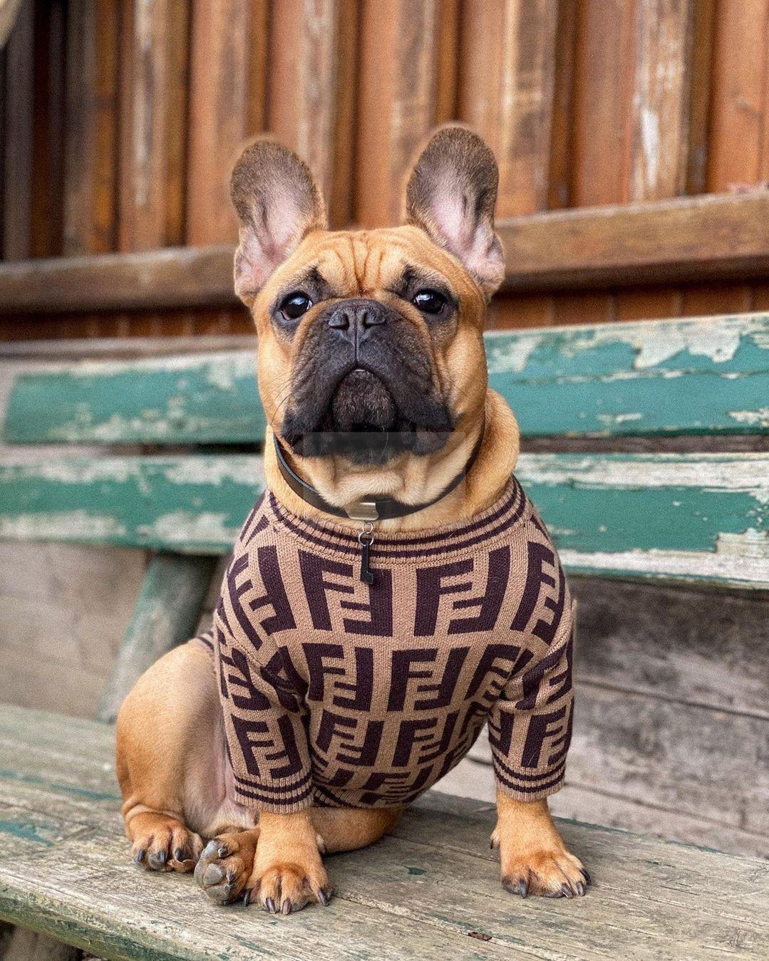 Furdi FF Essentials Sweater Hype Pups designer dog clothes.