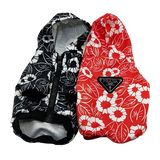 image-removebg-preview-2022-04-13T204104.324