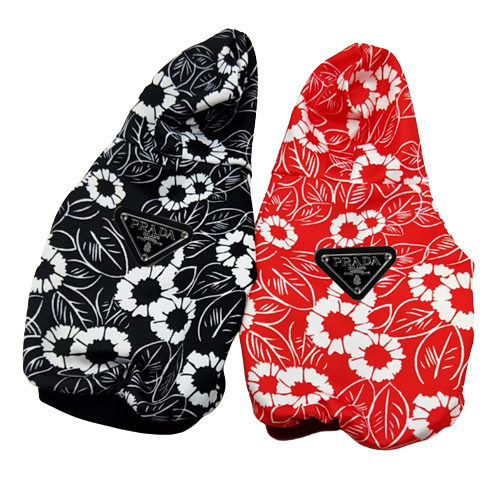 image-removebg-preview-2022-04-13T204121.976