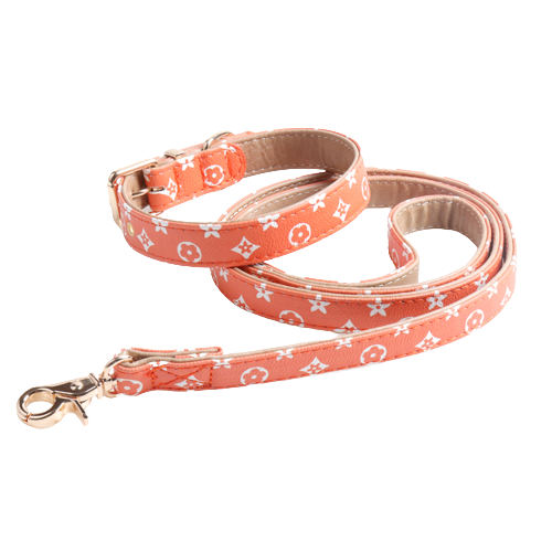 image-removebg-preview-2022-04-29T163939.002-1