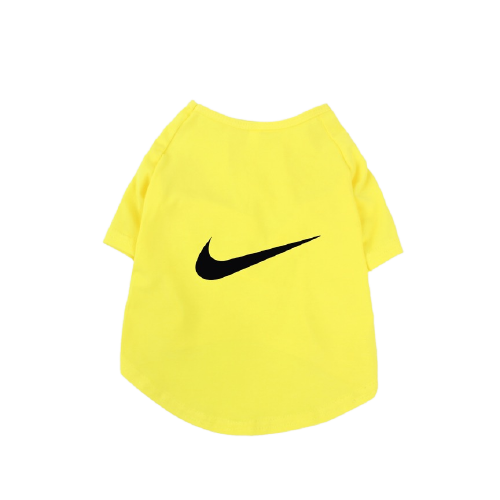 image-removebg-preview_6-1