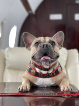 image_028f67db-c044-4cea-9ba9-9ec113982f8d