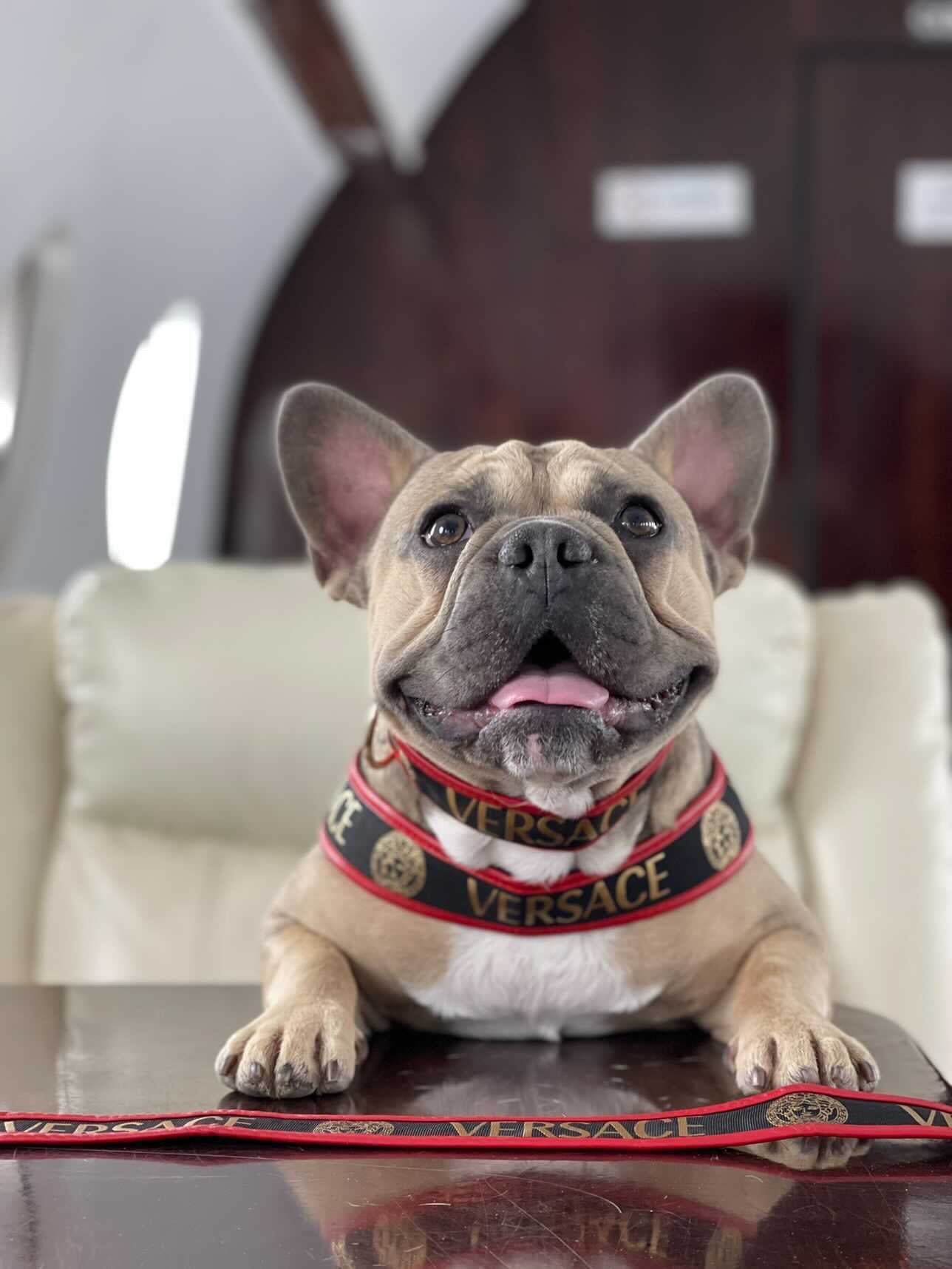 image_028f67db-c044-4cea-9ba9-9ec113982f8d