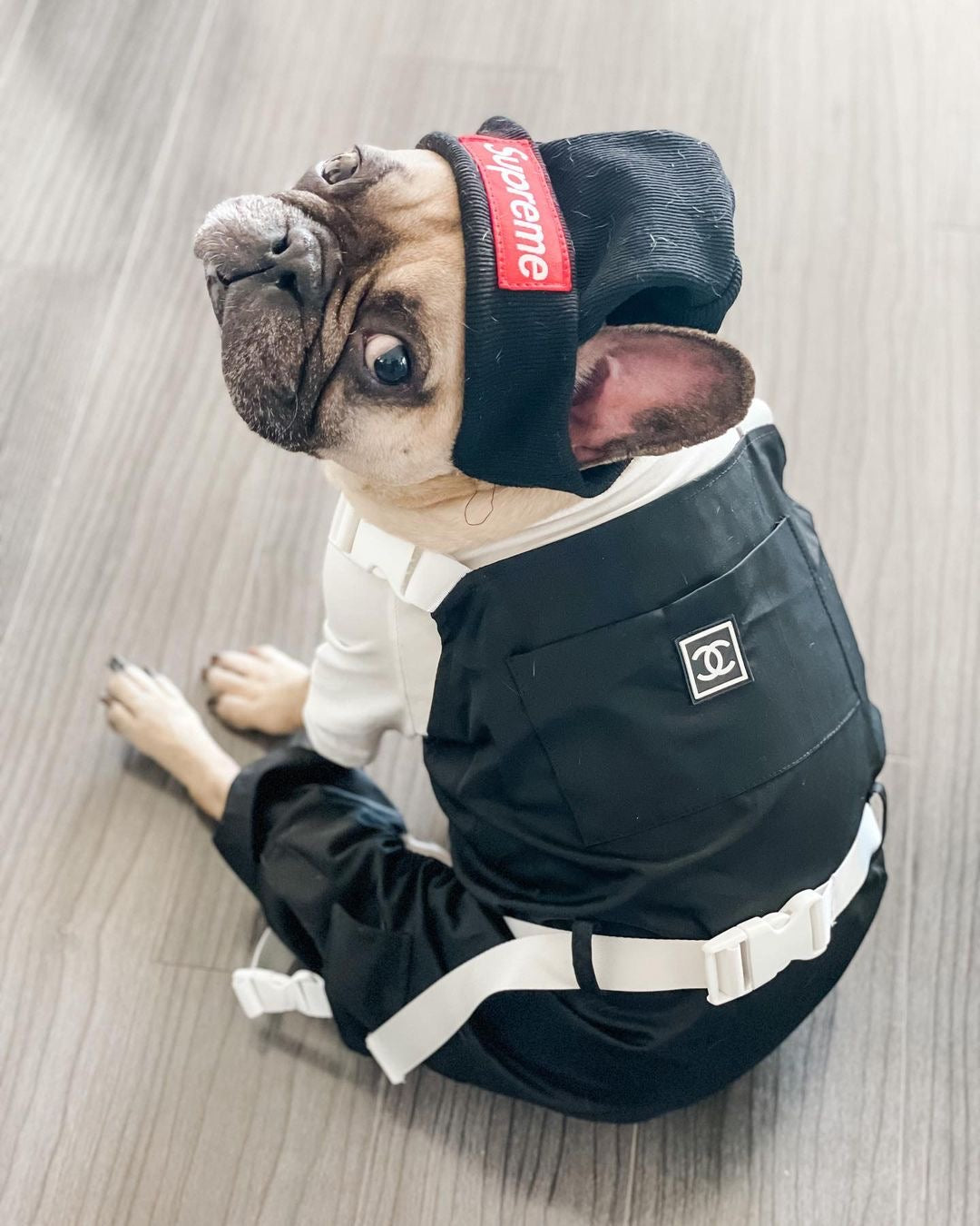 image_04e634bb-d25d-4b35-9d4c-cec2e5511984