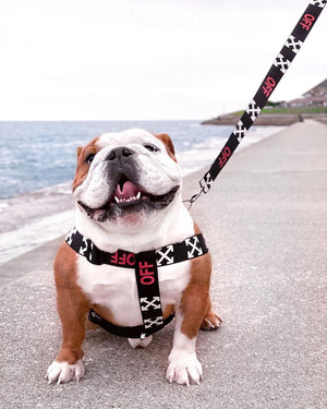 image_0608f814-d61a-4629-ba3f-df2a496ba54a