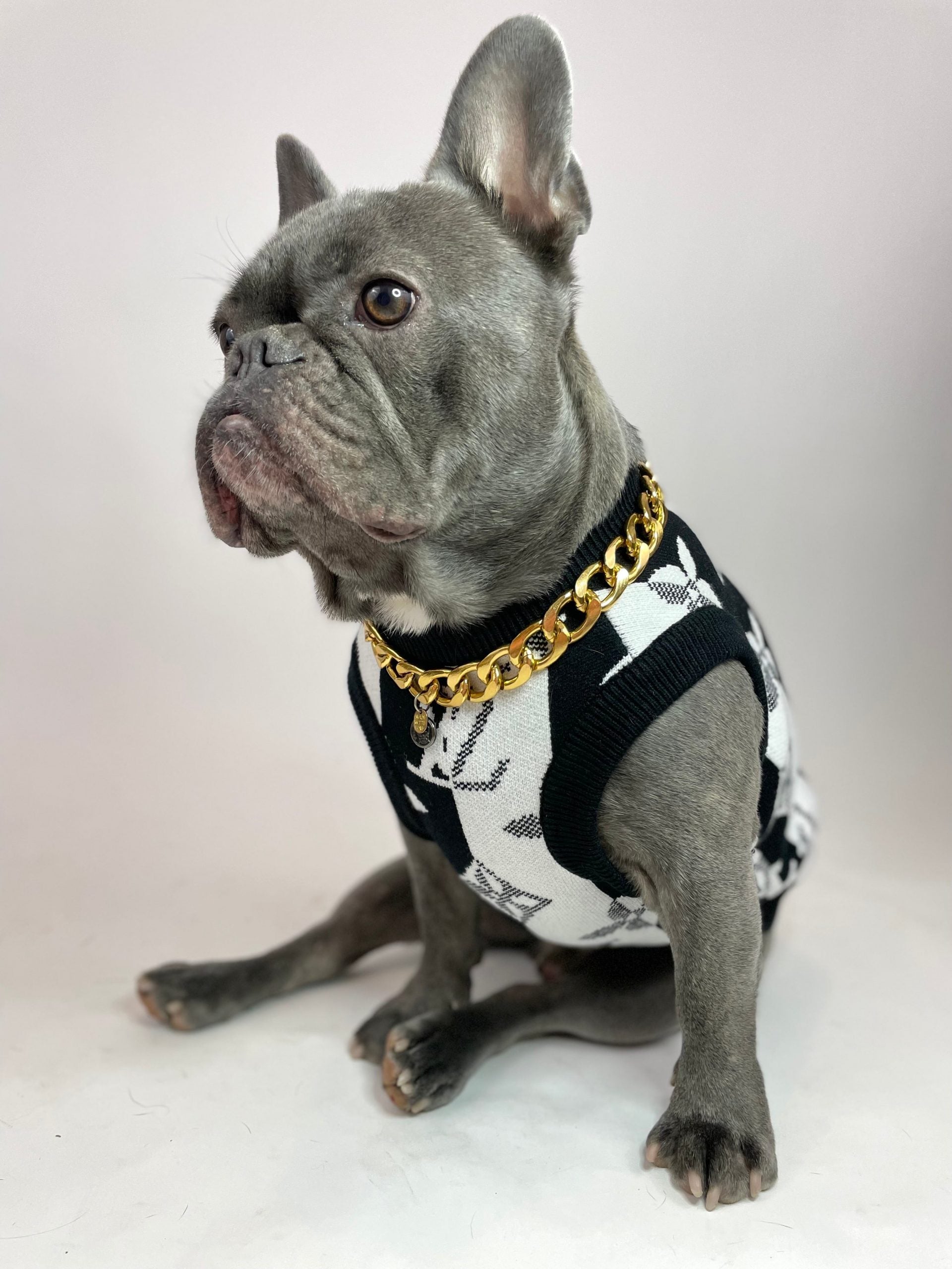 image_08c3e6f4-067c-4f0e-a767-849d8eeb4827