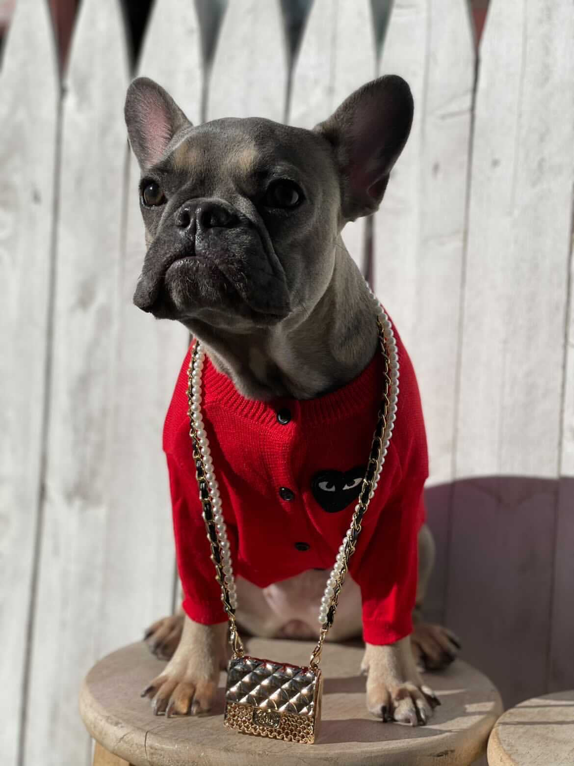 image_0ef28b20-2d69-4041-8152-664146709629