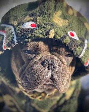 image_1132ab95-c0c1-4d9a-8896-68cb8afe7d1e