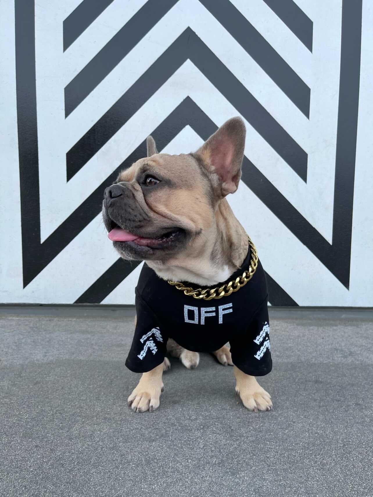 image_119215b4-c1eb-433e-b063-2a61dc2bcb01