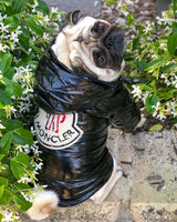 image_12972525-752d-4218-a4bc-584afc6286b0