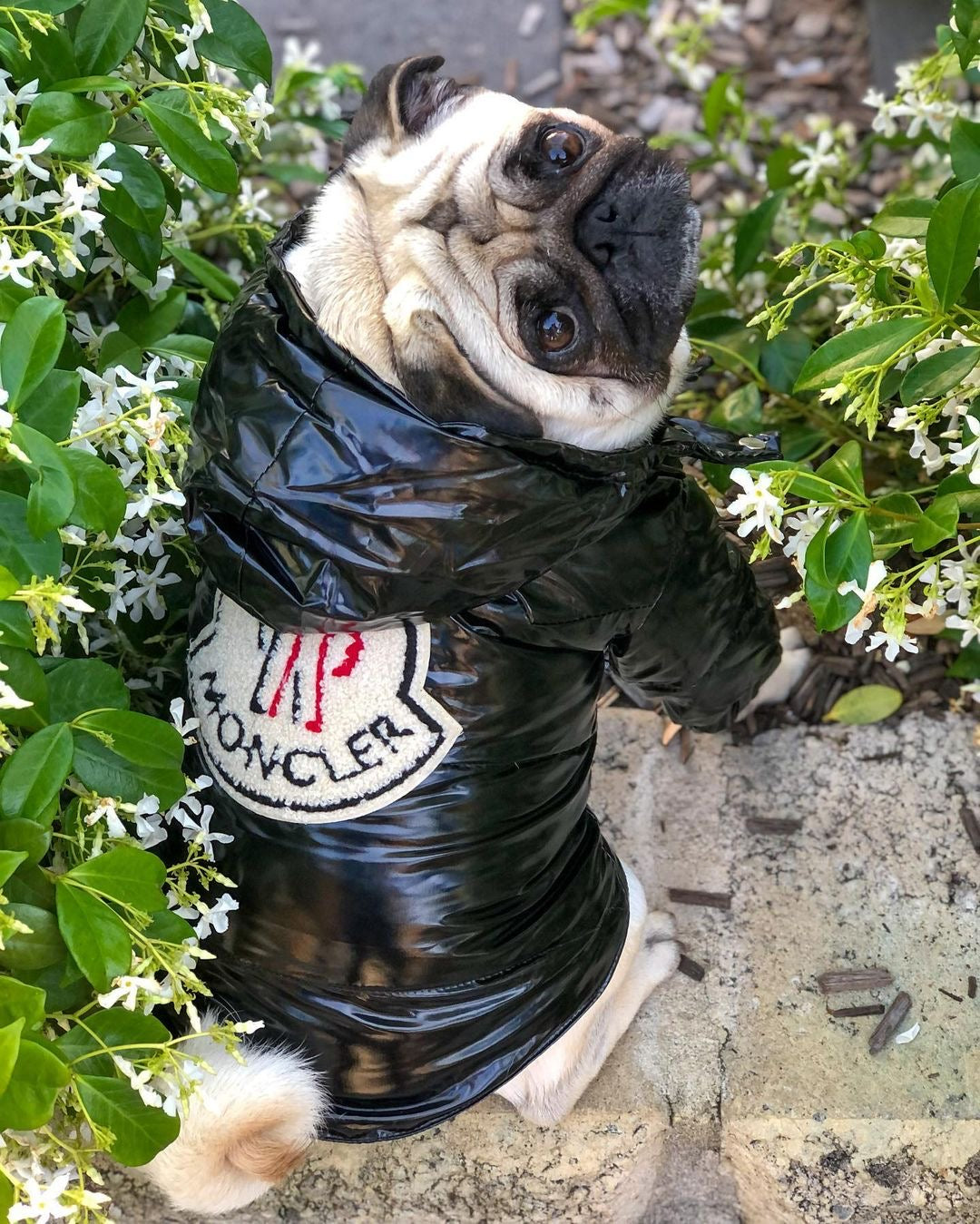 image_12972525-752d-4218-a4bc-584afc6286b0